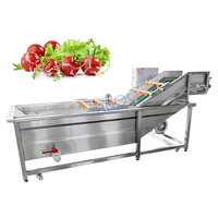 Rouleau de brosse de laine de fruits de légumes de racine d'igname nettoyez la peau de pomme de terre automatique et la machine de lavage d'orange