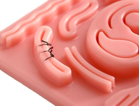 Formation chirurgicale Simulateur de sciences médicales Modèle de peau de suture de laparoscope avec tampon d'entraînement pour la modélisation de suture