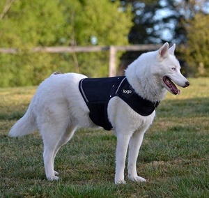 Harnais pour chien Gilet de sécurité Training Big Dog Harness il se vend <span class=keywords><strong>vraiment</strong></span> comme des petits pains - Product Image 4