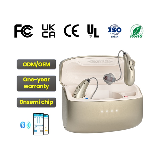 Wireless Bluetooth RIC Hearing Aid with High Quality Micro Receiver BTE Style for Elderly Audifonos
