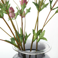 Bunga Astrantia Buatan Grosir, Bunga Masterwort Simulasi, Hijau Burgundy, Bunga Dekoratif untuk Rumah dan Rumah Pertanian