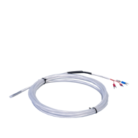 Sonde thermocouple RTD antichoc PT100, sur mesure, en acier inoxydable de qualité alimentaire, IP65, à montage fileté, capteur de température haute stabilité