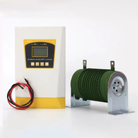 RY 300W 600W 1200W double contrôleur MPPT complémentaire éolien et solaire 24V 48V