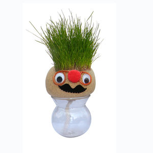 Mini Groeiend Gras Hoofdonderwijs Speelgoed Graskop Poppen Kinderen Kinderen Maken Diy Geschenken - Product Image 1