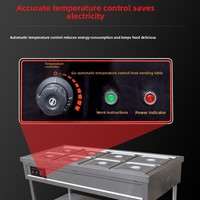 Bain-marie électrique professionnel pour la restauration rapide