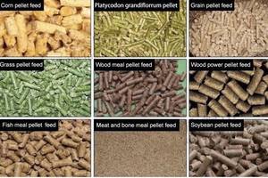 Máy Làm Hạt Viên Cho Ăn Tự Động Giá Rẻ Máy Làm Hạt Viên Thức Ăn Cho Động Vật Để Bán - Product Image 5