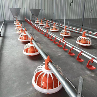 Système d'alimentation automatique pour poulets, mangeoire linéaire pour élevage, mangeoire pour volailles reproductrices, système d'alimentation pour poulets de chair et ligne complète d'élevage