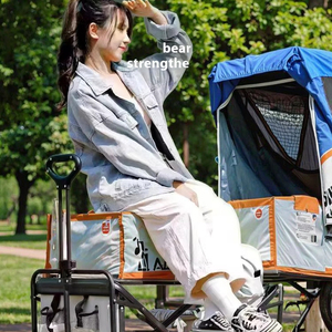 Petite voiture <span class=keywords><strong>de</strong></span> pêche portable pliable coulissante pour bébé pour <span class=keywords><strong>la</strong></span> maison Nouvelle roue large pour le <span class=keywords><strong>camping</strong></span> en plein air Stall Express OEM Support personnalisé - Product Image 1