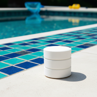 J08063 Comprimés de chlore pour piscine à dissolution lente, 5 livres, vente au détail, prix abordable