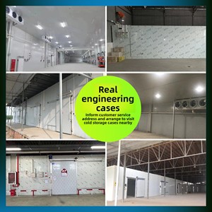 220V Hoàn Chỉnh Lạnh Thiết Bị Lưu Trữ Nhanh Chóng Đóng Băng Ice Kho Lạnh Đơn Vị Cho Trái Cây Thịt Đóng Băng Container - Product Image 5