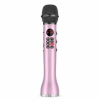 Microphone sans fil OEM, micro, microfono, karaoké, haut-parleur BT portable professionnel, système d'enregistrement/moniteur USB