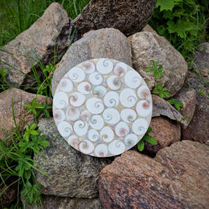 Nouveautés très vendues, coquillages fossiles sculptés, cristaux de guérison, pierres rondes, coquille fossile en forme de plaque à vendre - Product Image 5