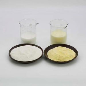 Crème à café à faible IG - Crème à café adaptée aux diabétiques - Poudre de <span class=keywords><strong>lait</strong></span> de <span class=keywords><strong>coco</strong></span> - Douceur naturelle - <span class=keywords><strong>Sans</strong></span> produits laitiers - Mélange de sucre/désertifiant - Product Image 4