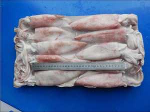 حبار صغير مجمد من نوع لوليجو - Product Image 4