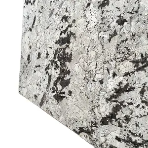 Preiswerter Naturstein polierte weiße Granitplatte