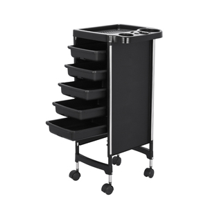 Carrito de Peluquería Nuevo de Metal y Plástico, Carrito de Belleza para Peluquería, Spa, Taller, Dormitorio, Barbería - Product Image 1