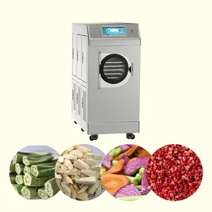 Automatic home small freeze dryer lyophilization 110 v industrial fruit lyophilization machine fruit