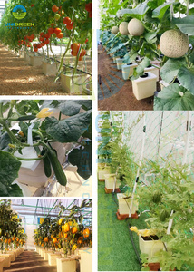 Seau hydroponique ferme utilisée 11L 3 gallons système de culture d'irrigation indépendant barils hollandais fleur de concombre seau hydroponique - Product Image 3