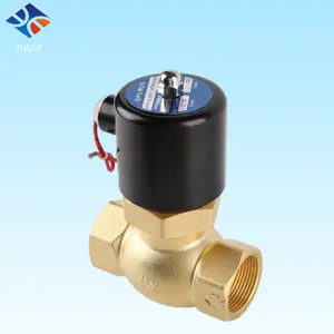 Brass Internal Thread Steam Solenoid Valve Safety Can be Customized Various Specifications of Voltage Solenoid Valve