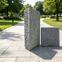 Brique de pavage en béton poreux résistant aux acides et au feu 600x300x50mm pour applications extérieures et municipales