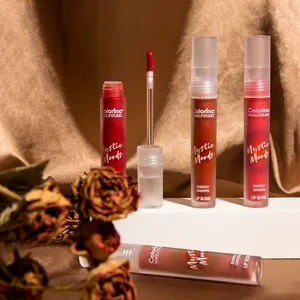 Sahriges Make-Up Lipgloss-Fabrik OEM Ihre Marke wasserfest matter Lipgloss individuelles Logo