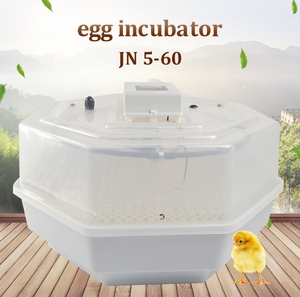 Incubadora de plantas portátil y práctica de alta calidad y buena reputación con 60 huevos de gallina a la venta ahora - Product Image 6