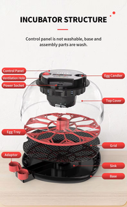 Incubadora de Huevos Inteligente con Volteo Automático, Probador LED, Pantalla Digital de Humedad <span class=keywords><strong>para</strong></span> Huevos de Aves, Gansos y Patos - Product Image 4