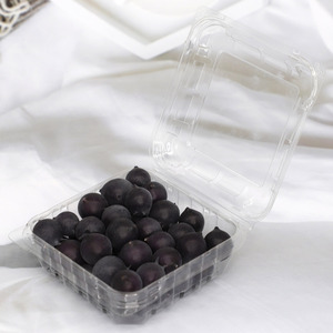 Disposable clamshell box packaging 125g fresh blueberry fruit container