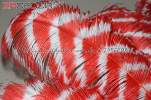 Pemasok Emas ZPDECOR Grosir 70-75 Cm Garis Besar Celup Merah dan Putih Bulu Burung Unta untuk Hiasan Kepala Karnaval - Product Image 5