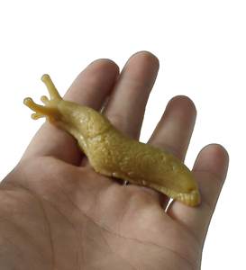 Juguete de broma de babosa pegajosa y blanda - Juguete de broma elástico de TPE con ventosa para mayores de 8 años - Product Image 2