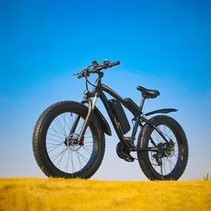 EU 및 미국 창고 빠른 배송 7 속도 산악 전기 자전거 48W 1000W 오프로드 전기 자전거 고품질 전기 자전거