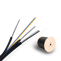 Cable de caída FTTH al por mayor de fábrica 1 núcleo 3 alambre de acero fibra gota 1 hilo con mensajero