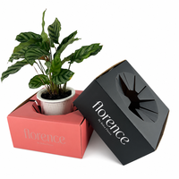 Boîte d'expédition de luxe pour plantes en pot, en carton ondulé, pour fleuriste, emballage cadeau pour fleurs, boîte de protection pour le transport