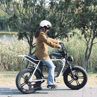 Ebike nouveau modèle de vélo électrique rétro 48V 750W e-bike avec moteur de moyeu arrière gros pneu Style rétro vélo électrique