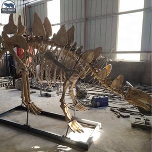 Zigong Blauwe Hagedis Opgraving Animatronic Dinosaurus Giant Skeletschedel Stegosaurus Dinosaurus Fossielen - Product Image 1