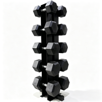 Support vertical commercial pour haltères hexagonaux, neuf, pour salle de sport, équipement de fitness, capacité de stockage 8/10 paires, vente en gros