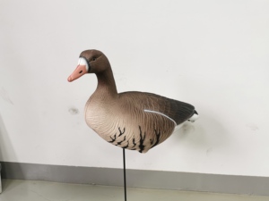 Señuelos de caza de ganso de nieve <span class=keywords><strong>canadiense</strong></span> flotante de espuma gris de ganso salvaje con frente blanco manchado de plástico corrugado EVA - Product Image 4