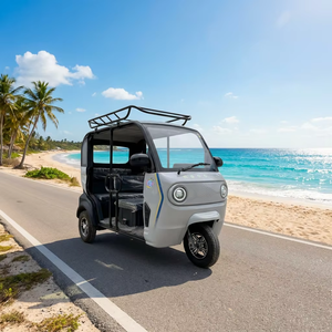 <span class=keywords><strong>Tricycle</strong></span> <span class=keywords><strong>électrique</strong></span> ouvert fabriqué en Chine pour les trajets urbains et domestiques, mini-scooter micro, puissance >1000W, vitesse 60V, capacité 3 passagers - Product Image 1