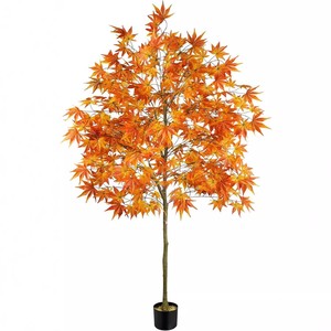 <span class=keywords><strong>Patio</strong></span> estilo Zen chino con plantas <span class=keywords><strong>de</strong></span> plástico verde y paisaje con plantas en maceta <span class=keywords><strong>de</strong></span> Hojas <span class=keywords><strong>de</strong></span> arce altas. - Product Image 2