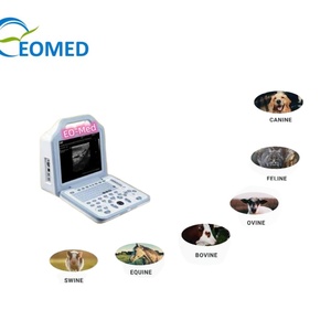 Appareil d'échographie chinois BW21B, scanner d'échographie vétérinaire portable noir et blanc - Product Image 4