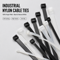 Attache-câble industrielle autobloquante en nylon modèle 2.5 Marque BYEP Fabriqué dans le Zhejiang