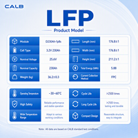 Module de batterie LiFePO4 CALB D230AH-1P8S 25,6V 230Ah Grade A avec prévention sûre de la décharge thermique 2500cls
