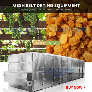 Fully Automatic Mesh Belt Dryer Raisin Stem Processing Production Line Grape Drying <b>Dehumidifier</b> Machinery - Product Image 4