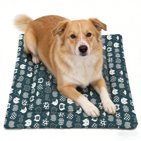 Tapis pour animaux de compagnie moderne, imprimé, doux, antidérapant, écologique, pour chats et chiens, en peluche, chaud et confortable, vente directe d'usine en Chine