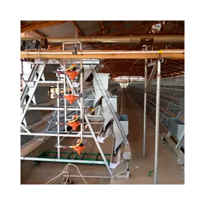 Chicken Cage For 1 Day Old Chicks Of Layer Chicken Cages For Zambia Poultry Farms