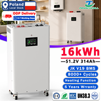 Batterie solaire au lithium LiFePO4 en stock UE DDP 15 kWh 16 kWh 51,2 V 314 Ah avec BMS JK V19, 8000 cycles pour systèmes d'alimentation hybrides domestiques