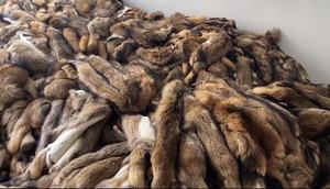 Cappotto Invernale Oversize di Lusso Janefur <span class=keywords><strong>con</strong></span> Grande Collo in Pelliccia di Lupo Naturale e Pelliccia di Procione - Product Image 3