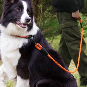 Correa reflectante de nailon para perros, mango de esponja acolchado, correa de entrenamiento duradera multicolor para perros pequeños/medianos/grandes, correa para caminar para mascotas - Product Image 4