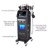 Appareil de beauté 11 en 1 pour le peeling au diamant, le jet d'eau oxygénée, le peeling aqua facial, la microdermabrasion hydro-cristalline