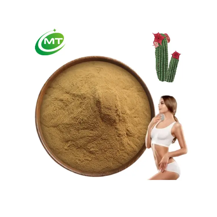 Factory supply high quality organic Natural 20:1 Hoodia Gordonii Extract